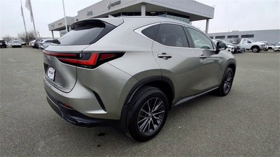 2024 Lexus NX 350 Premium