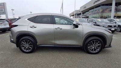 2024 Lexus NX 350 Premium