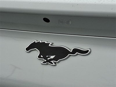 2021 Ford Mustang Mach-E Select