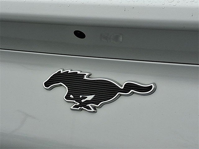 2021 Ford Mustang Mach-E Select