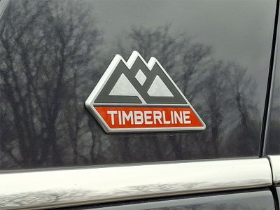 2023 Ford Expedition Timberline